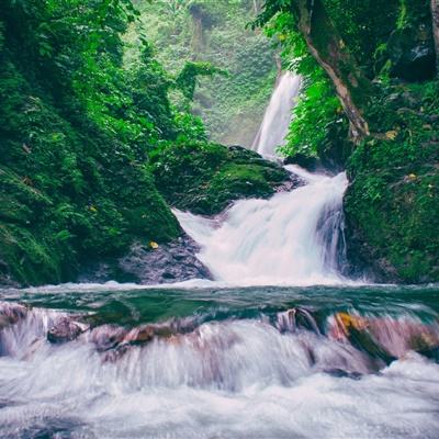 我叫mt外传九游版下载