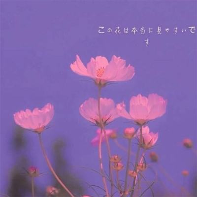 拳击派对手游(暂未上线)v1.0.0 安卓版